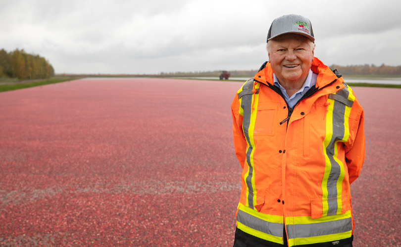 Mr. Bieler standing in front of a cranberry bog