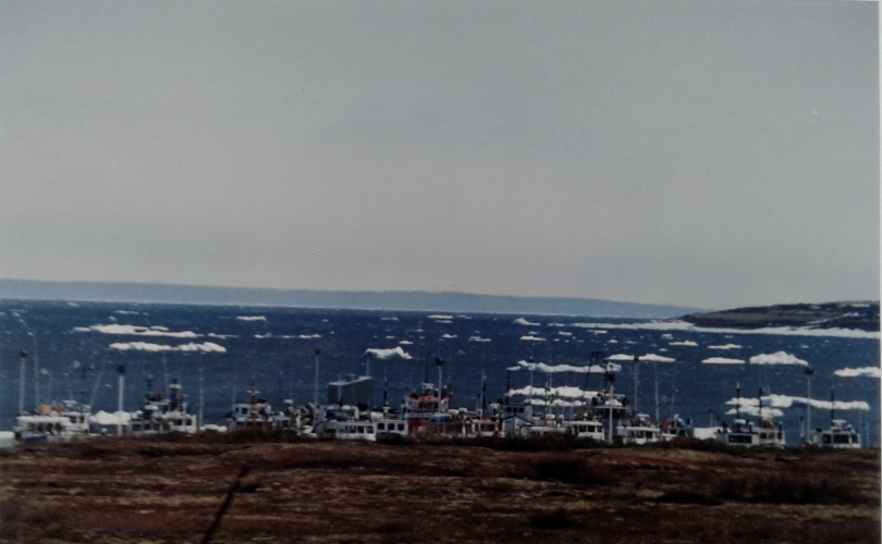 Boats moored in Gulf of Saint-Lawrence near Blanc-Sablon, Quebec