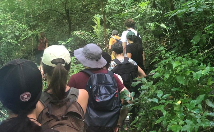 Group of students standing in a tropical forest