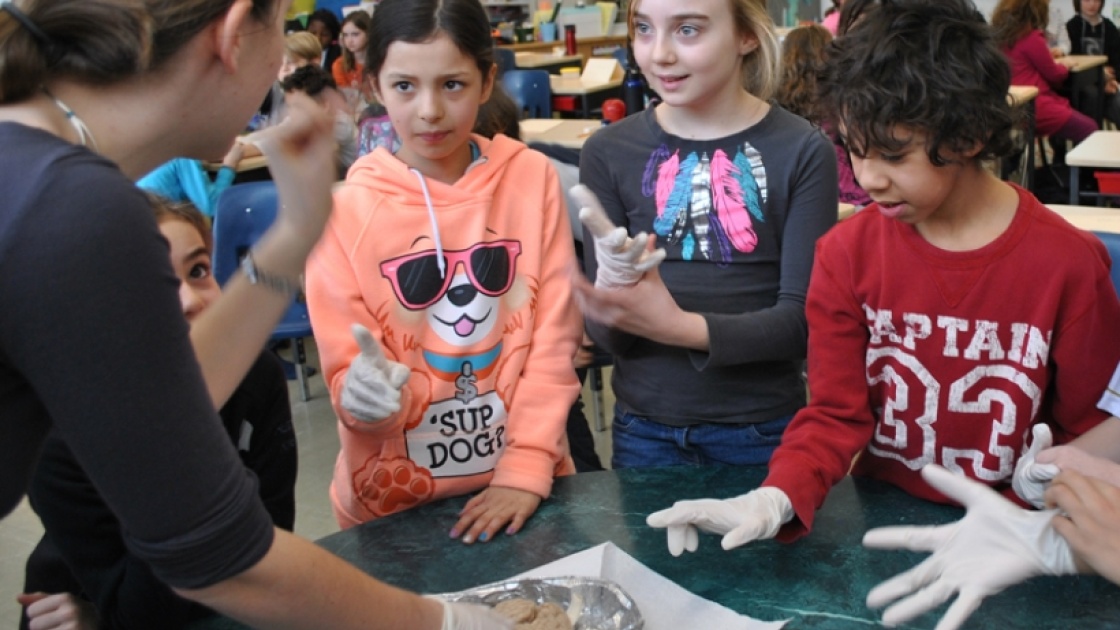 BrainReach volunteers in action